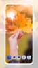 Autumn HD Wallpapers screenshot 8