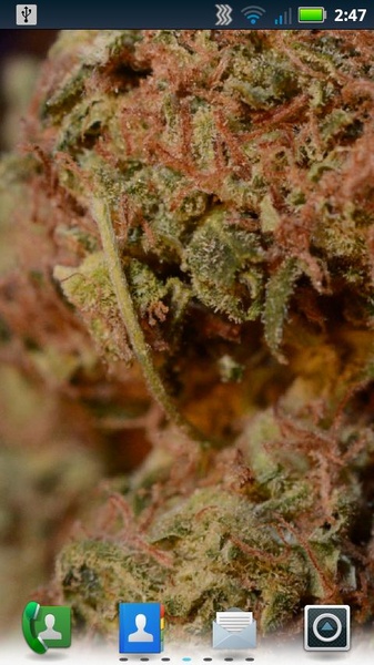 Sour Diesel Live Wallpaper - Preview 6