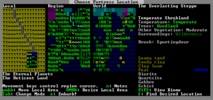 Dwarf Fortress screenshot 4