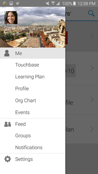 SuccessFactors - Preview 5