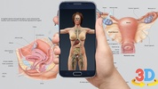 Human anatomy 3D : Organs and Bones screenshot 5