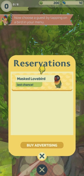 Bird bnb - Preview 4