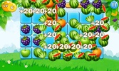 Fruits Break screenshot 6