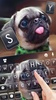 Cute Tongue Pug screenshot 4