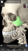 Essential Skeleton 3 screenshot 24