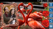 Love Birds Photo Frames screenshot 6