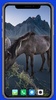 Horse Wallpaper screenshot 1