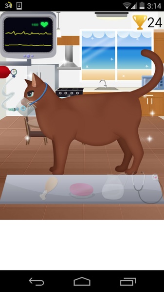 Cat Birth - Preview 3
