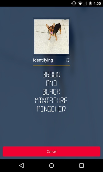 CamFind - Preview 5
