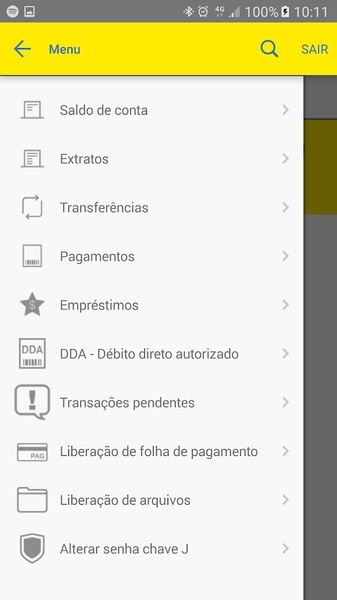 Gerenciador Financeiro - Preview 4
