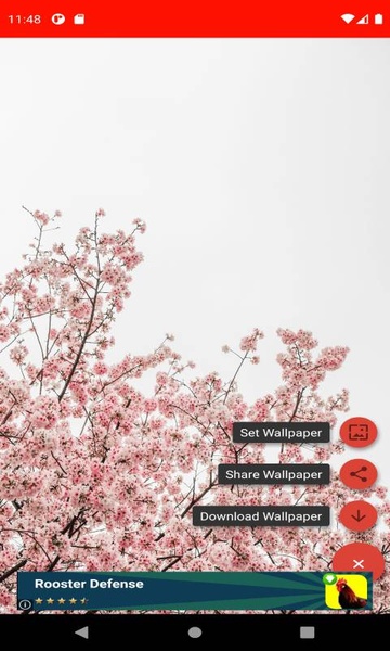 The most beautiful spring pictures around the world 4K - Preview 1