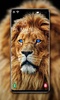 Lion Wallpaper screenshot 2