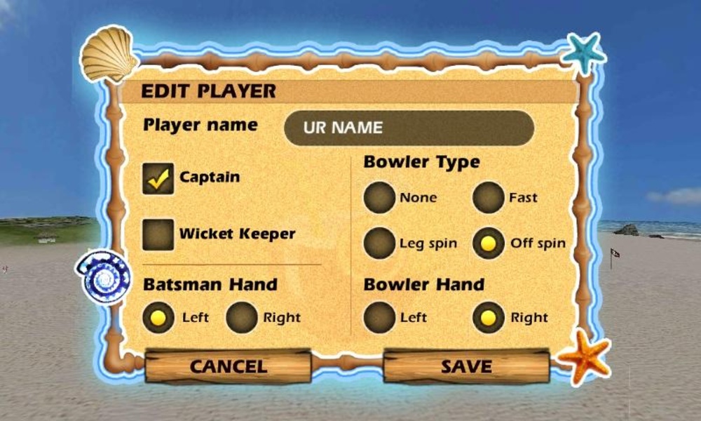 Beach Cricket - Preview 2