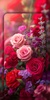 Rose Wallpaper screenshot 1