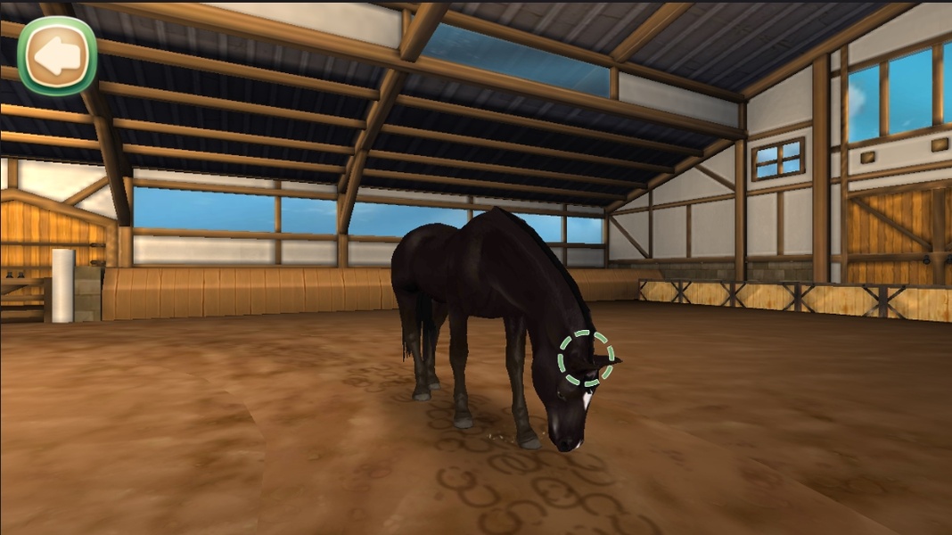 HorseHotel - Care for horses - Preview 9