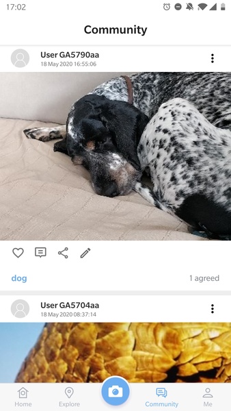 Picture Animal - Animal ID Pro - Preview 12