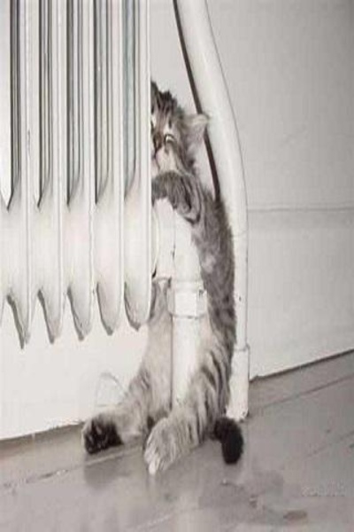 Funny Pics - Preview 1