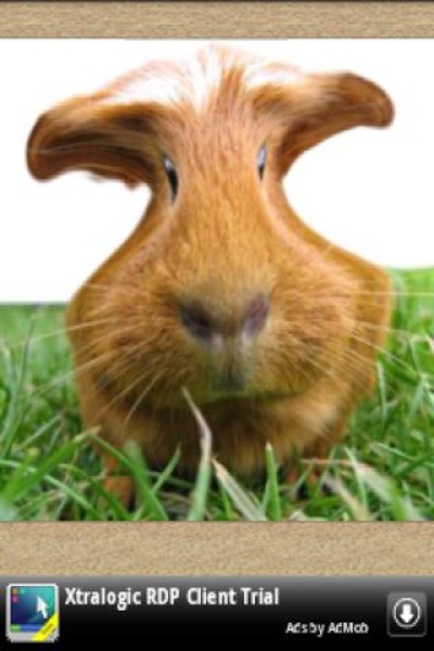 Make funny photos - Preview 3