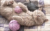 Cats Puzzle screenshot 7