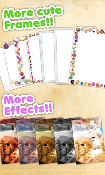 Picute - Preview 2