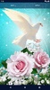Dove Romantic Live Wallpaper screenshot 3