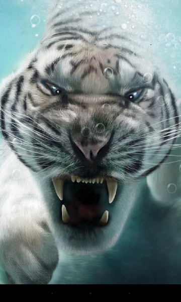 Bengal Tiger - Preview 10
