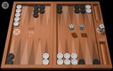 Odesys Backgammon screenshot 6