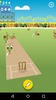 Snail Cricket - Cricket Game screenshot 4