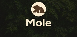 Imagen destacada de Mole