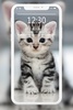 Cutest Cats Wallpaper screenshot 5