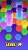 Hexa Sort: Color Puzzle Game screenshot 20