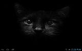 Black cats Live Wallpaper screenshot 4