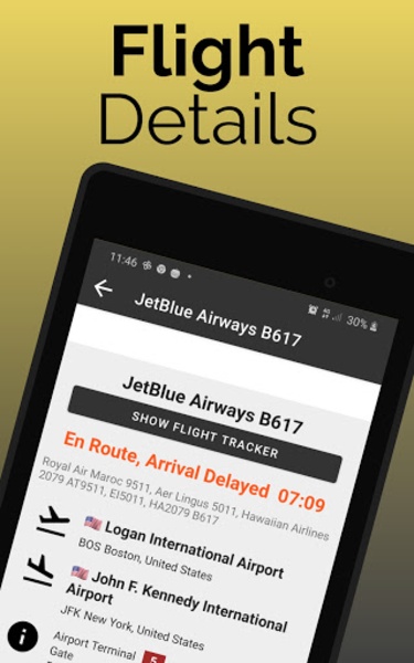 Madrid-Barajas Flight Information - Preview 8