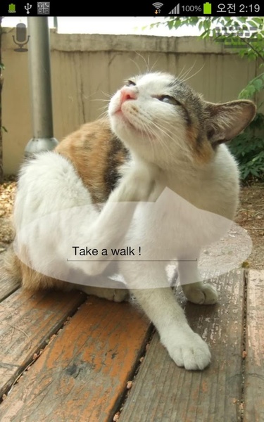 Talkicat - Preview 4