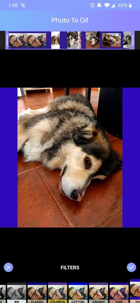 GIF Maker, GIF Editor, Photo to GIF, Video to GIF - Preview 2