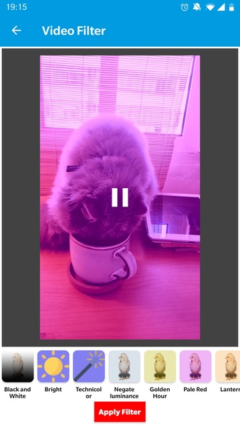 Video Utility - Preview 6