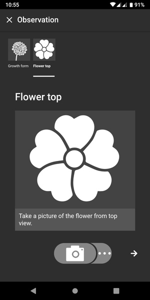 Flora Incognita - Preview 3