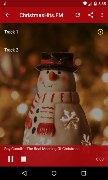 The Christmas Channel - Preview 2