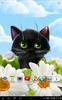 Lustige Katzen Live Wallpaper screenshot 1