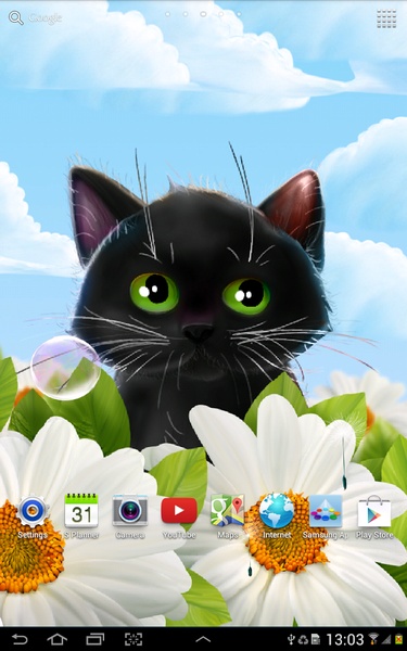 Funny Kitten Live Wallpaper - Preview 1