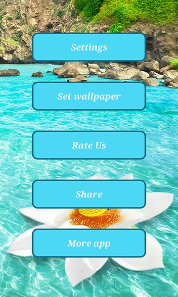 Automatic Wallpaper Changer - Preview 2