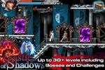 Castle Of Shadows screenshot 2