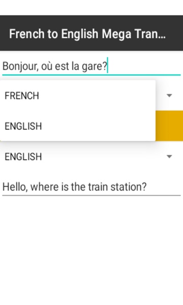 French to English Mega Translator - Preview 2
