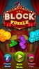 Block Puzzle - Shift screenshot 7
