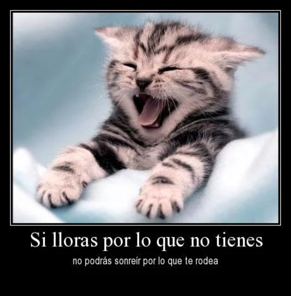 Frases de Animo y Positivas - Preview 4