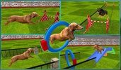 Dog Stunt Show Simulator 3D screenshot 3