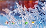 Frozen Flowers Live Wallpaper screenshot 1