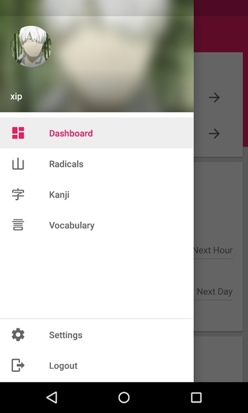 WaniKani - Preview 16