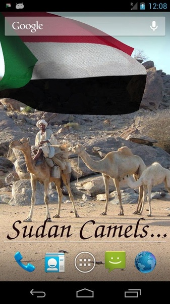 Sudan Flag - Preview 7