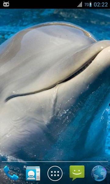 Magic Ripple Cute Dolphin - Preview 4